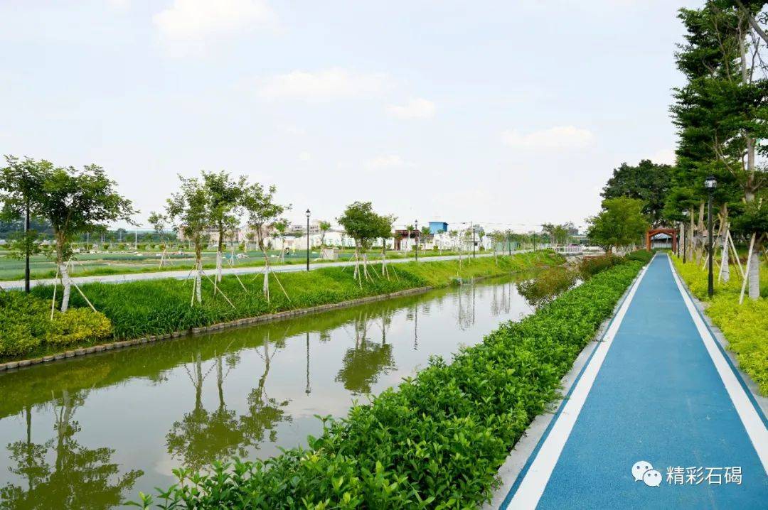石碣镇梁家村:以"四个聚焦",全力培育"环水田居"标杆!_发展_建设_村村