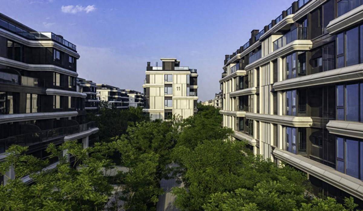 郑州鸿园业主出门就爱逛菜地,他们说这是热爱生活的体现_田园_城市