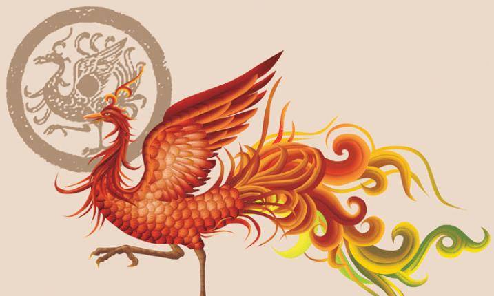 聊聊凤凰形象的起源与发展_人们_生物_的特点