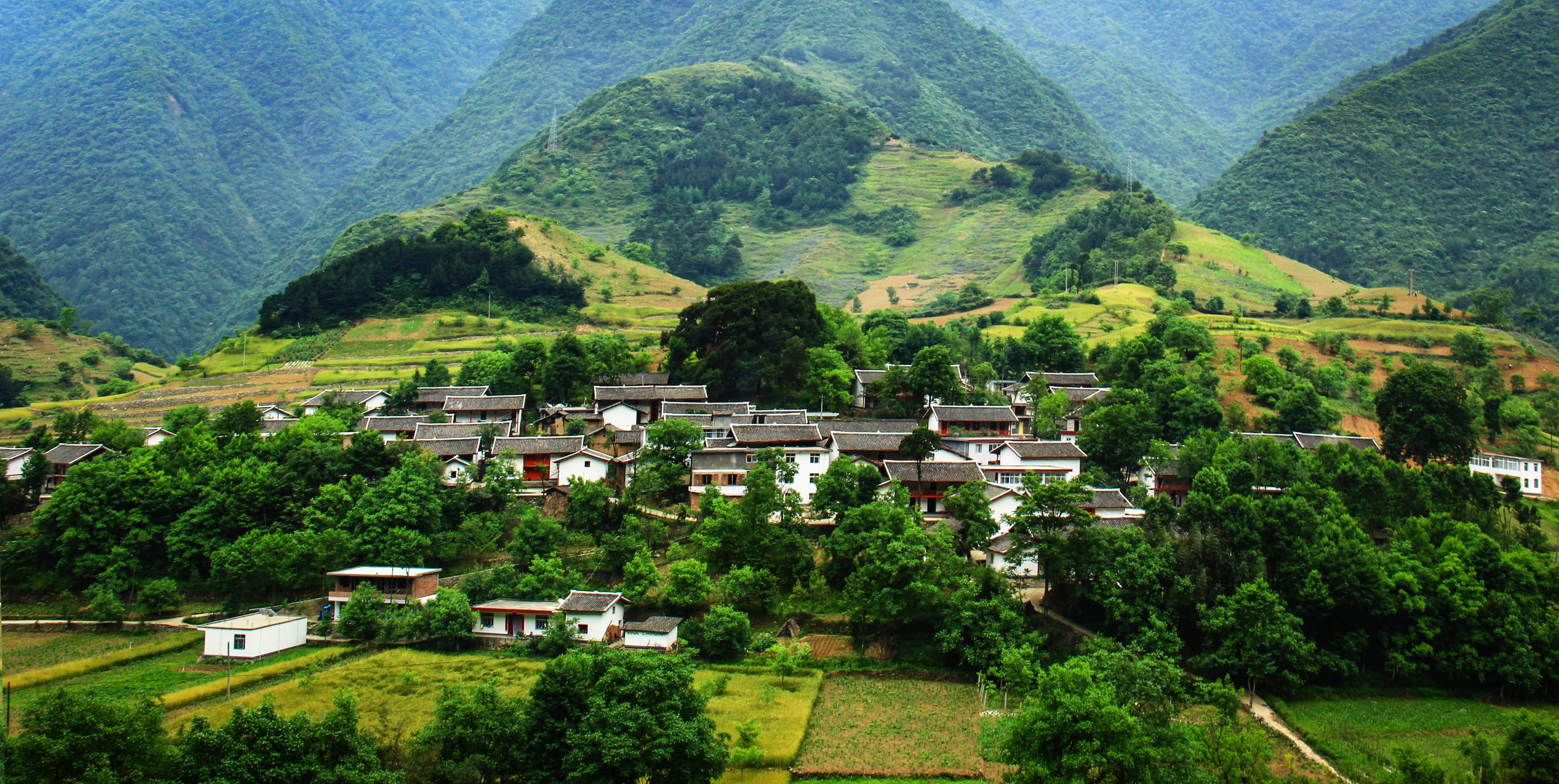 绿水青山烟 价格表图片