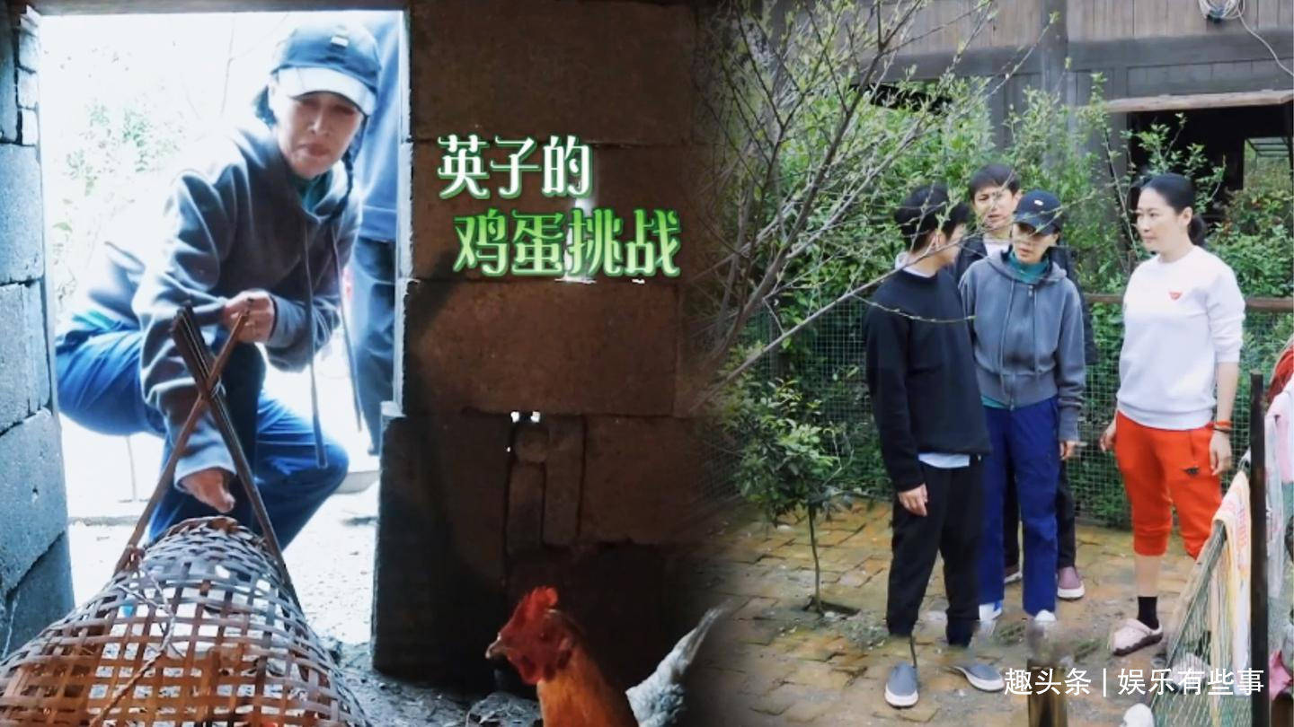 那英掏蛋黄磊护驾,打趣曾和杨紫也这样保护张艺兴,那英耿直反驳_节目
