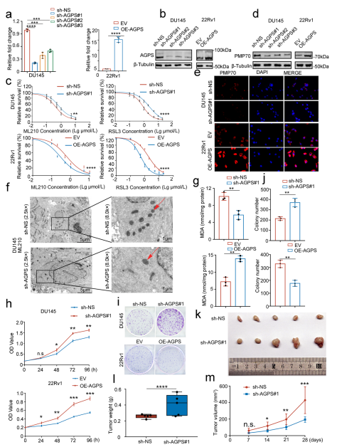 481_628竖版 竖屏