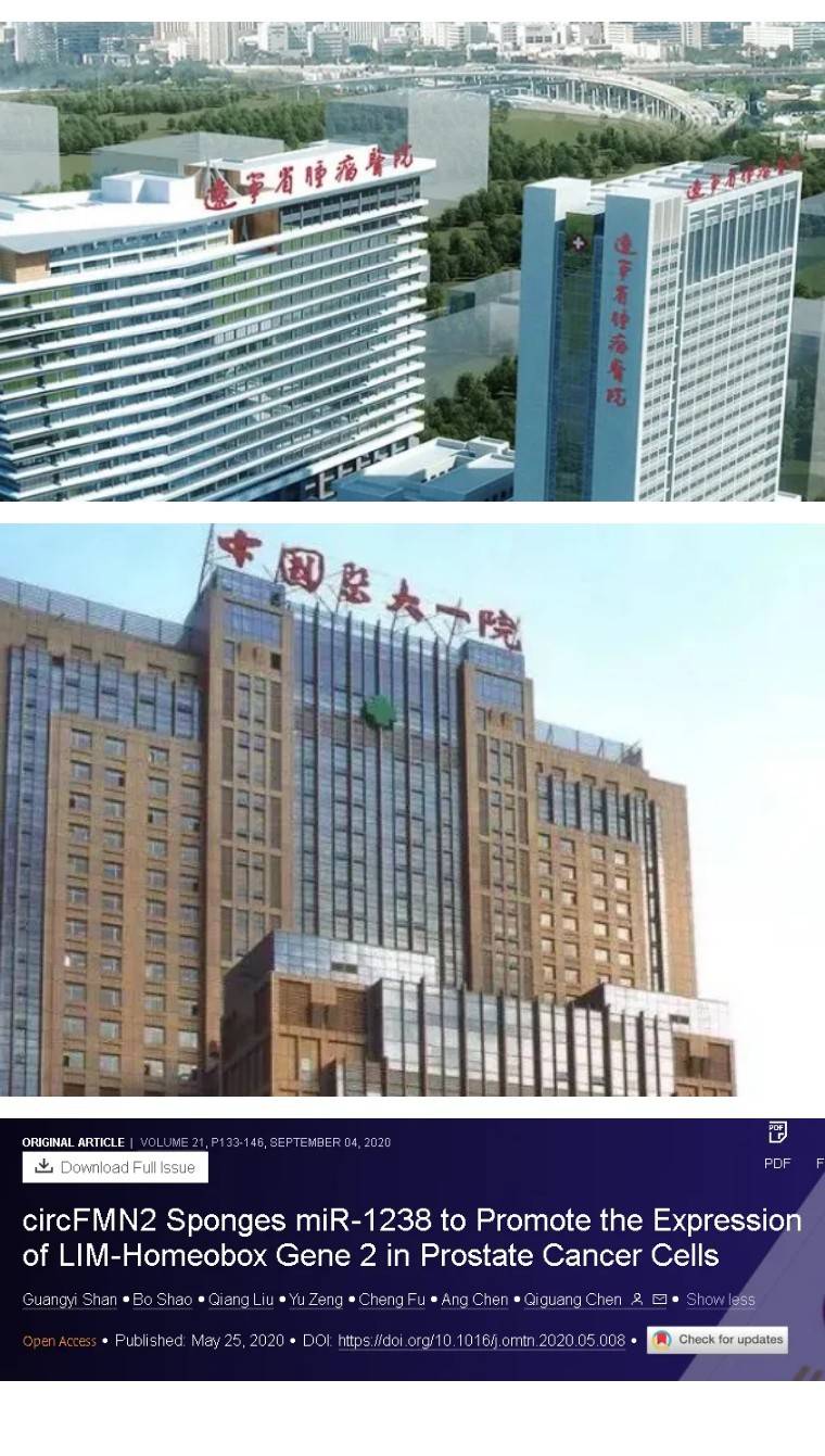 多处图片重复,辽宁省肿瘤医院的论文被质疑_com_circfmn_mir