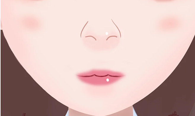 鼻子_鼻梁_鼻尖