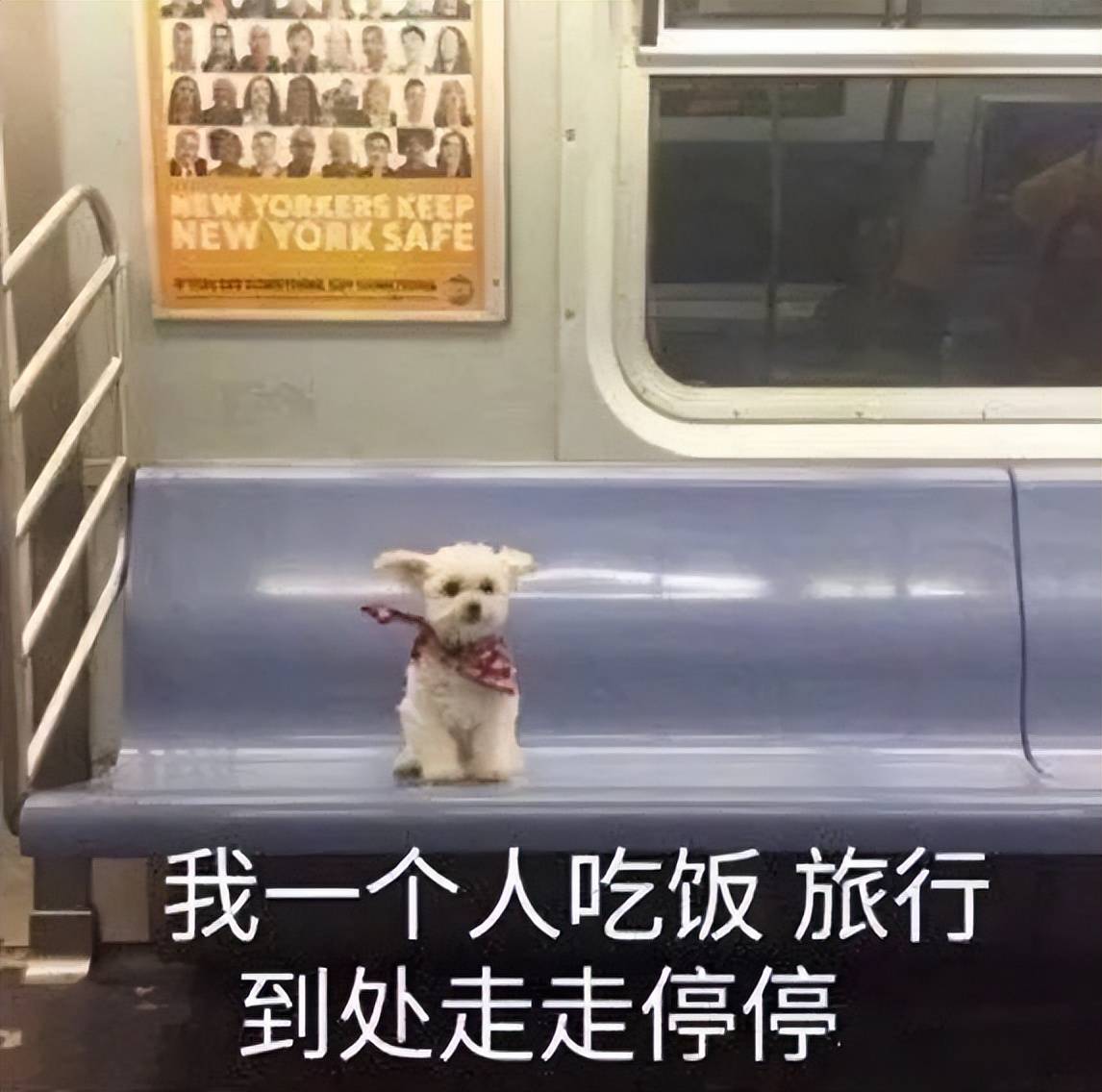考试_编制_社区