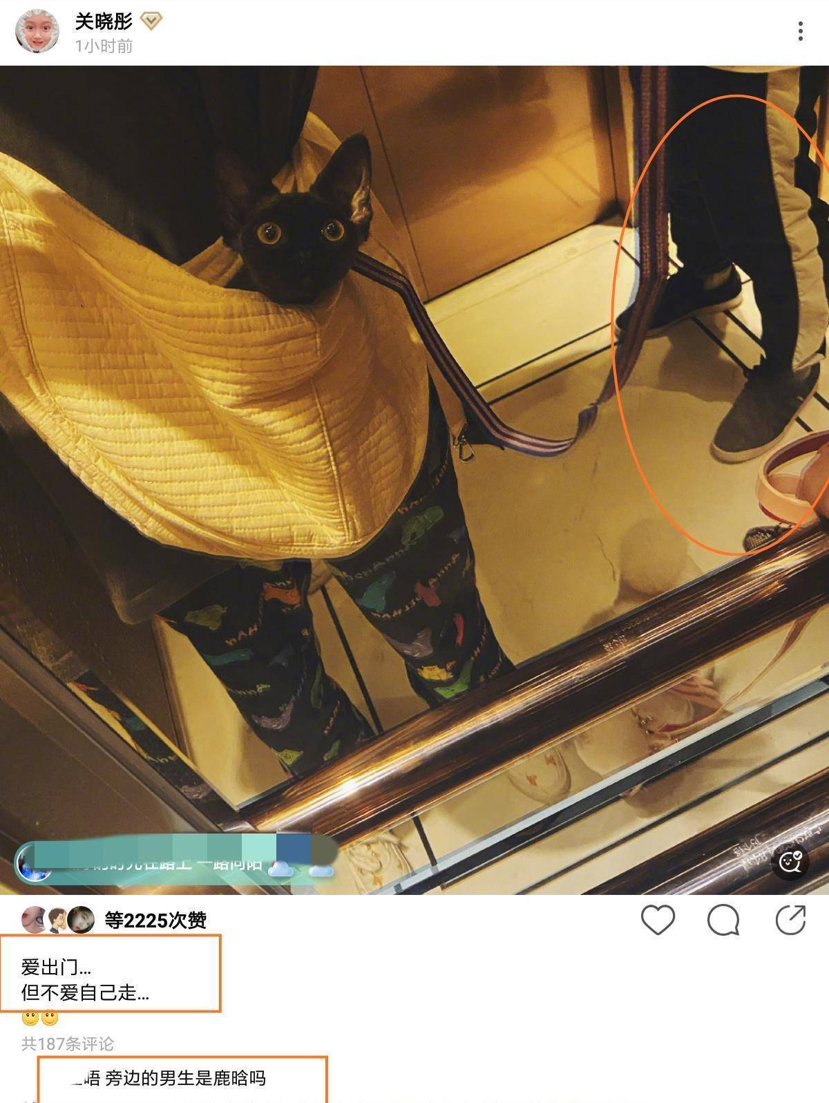 同行人员被指是男友鹿晗_社交_网友_小黑