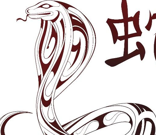 古文典籍中的蛇文化,神秘而诱惑的生肖蛇由来已久_中国_人们_黄蛇