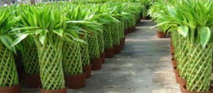 时间_铜钱_生活