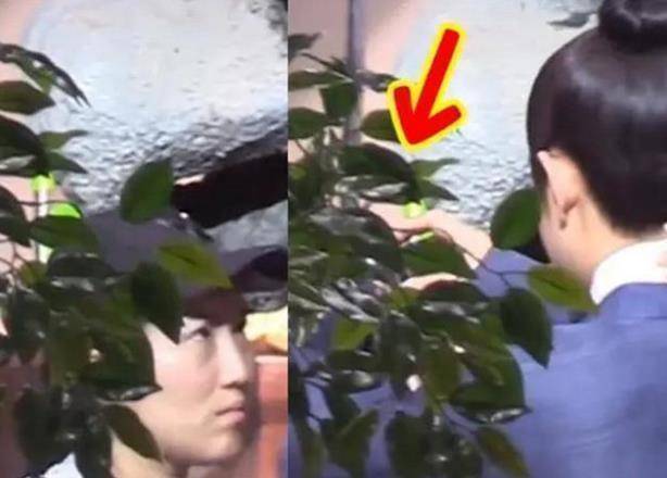罗晋结婚不到两年就不忠诚女助理?