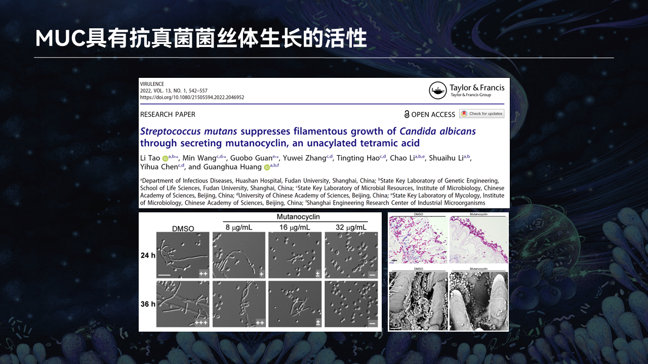 【图文实录】唐啸宇:人体微生物天然小分子_研究_合成_影响