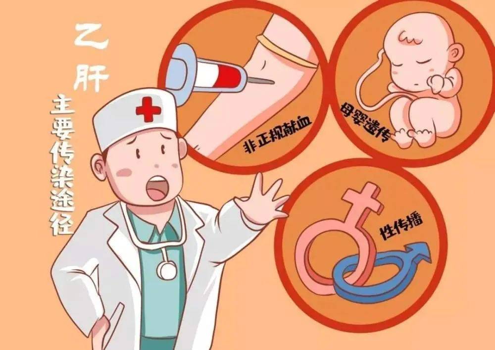 乙肝进行抗病毒治疗_方法_指南_高于