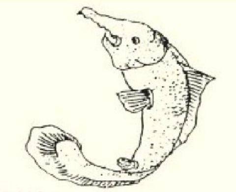 中国神话中的"山海时代",《山海经》中的奇异