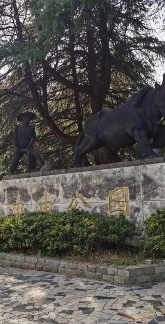 原创上海浦东由由公园五光十色