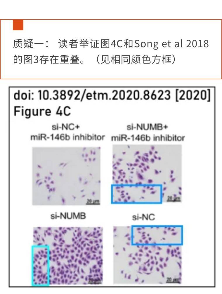 与他人文章存在图片重复,河北省人民医院的论文被撤稿_数据_et_com