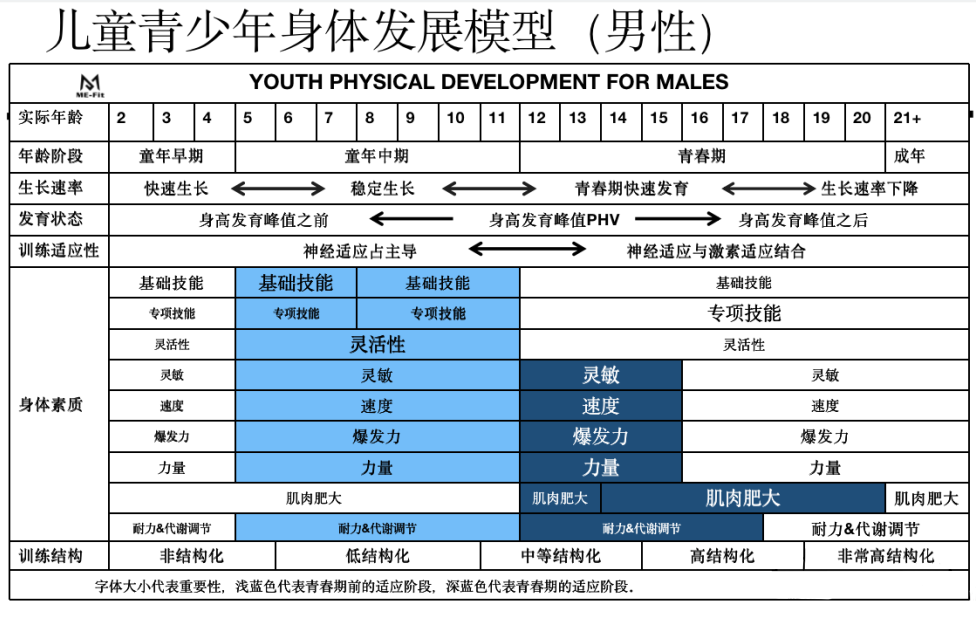 探究 儿童青少年体适能究竟是什么?