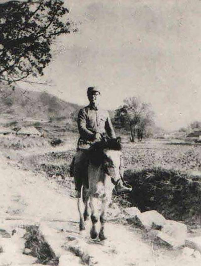 包围暗算,叶挺冒死请命被国民政府扣押,项英和周子昆突围后被叛徒杀害