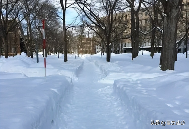 由于天气寒冷,前一天下的雪厚厚地堆积在路面上.