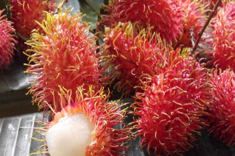 国内最贵的4种水果,很多人没见过,吃过的都是土豪和老板_价格_营养