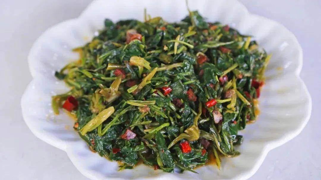 有一种叫云南的生活丨春日腾冲,食野篇_保山_野菜_香椿芽