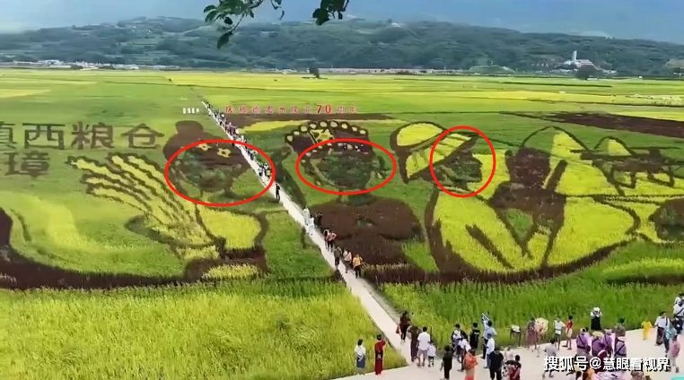 如何避开粗制滥造的稻田画公司?_人物_情况_画面