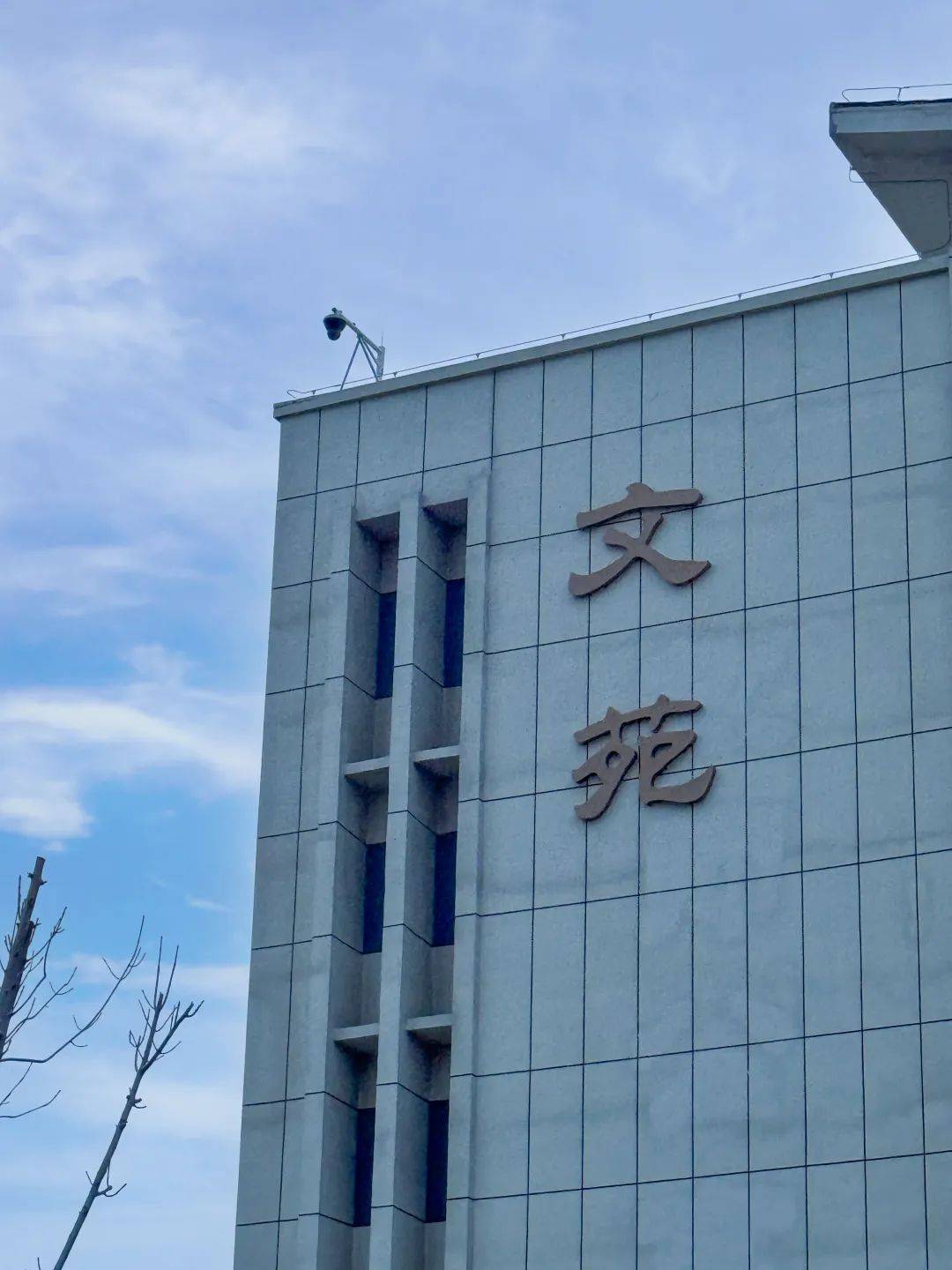 聊城市大学东昌学院图片