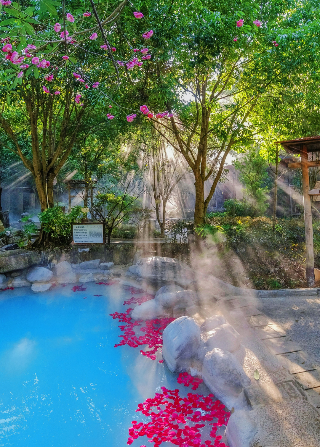 02/ 热海·美女池温泉碧水蓝天涧热海温泉雾气袅袅绿荫攒动,游弋天地