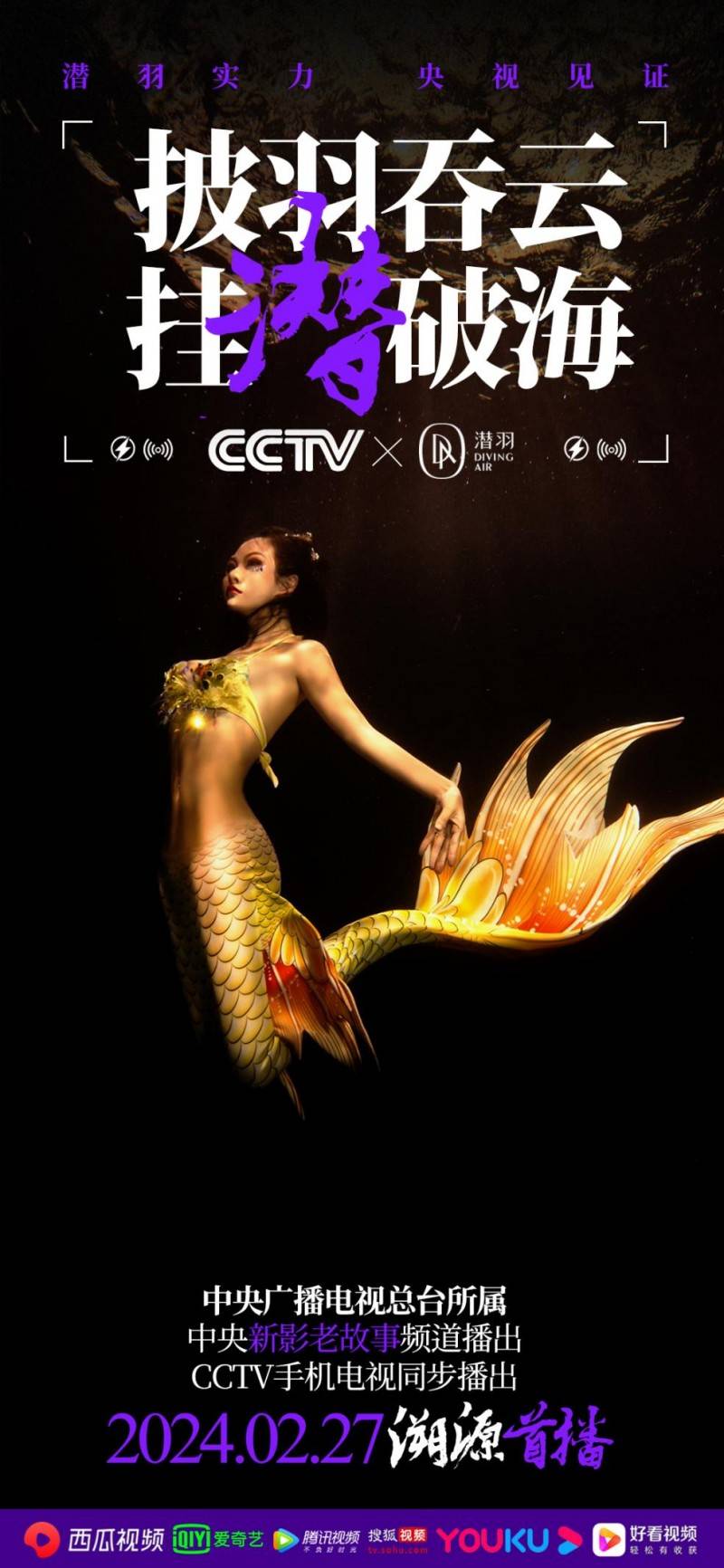 运动_美人鱼_品牌