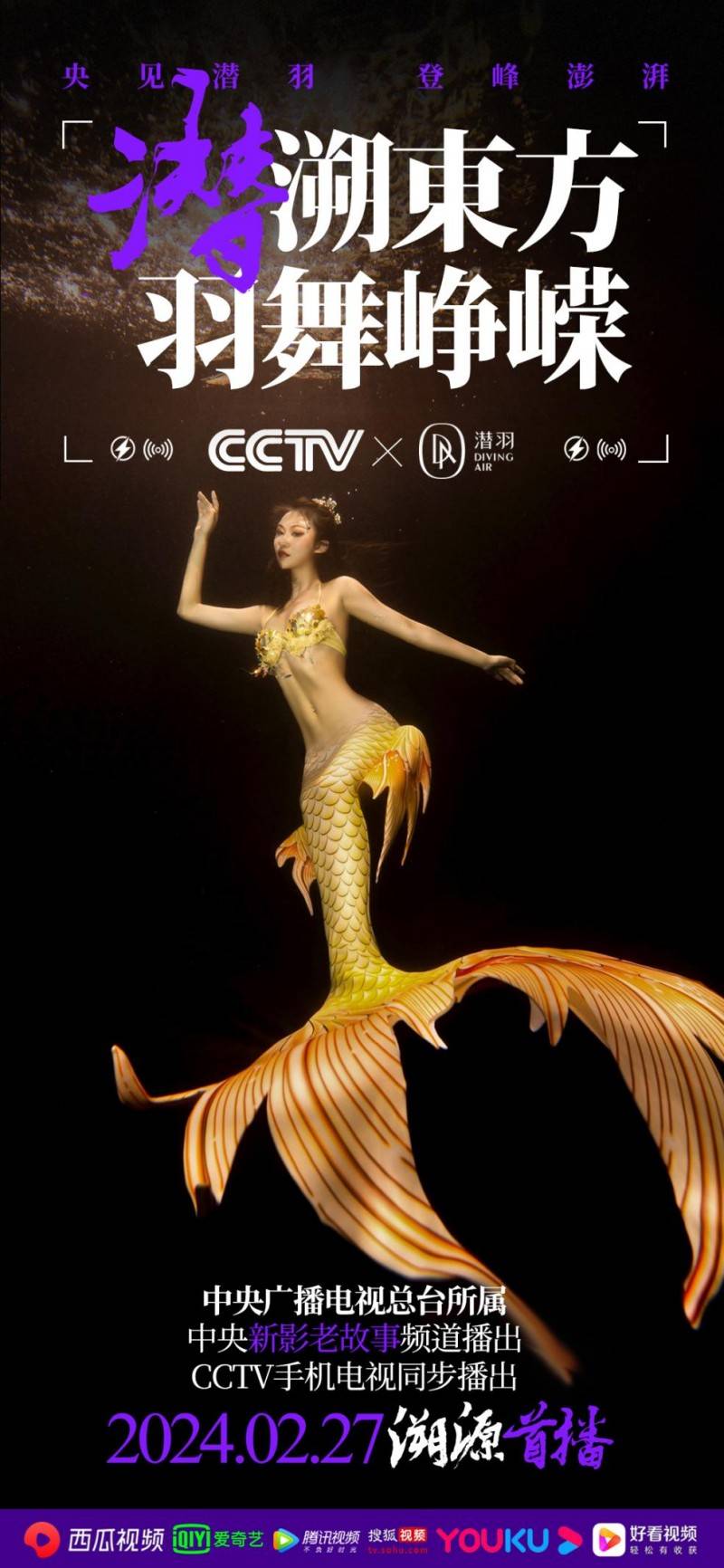 运动_美人鱼_品牌