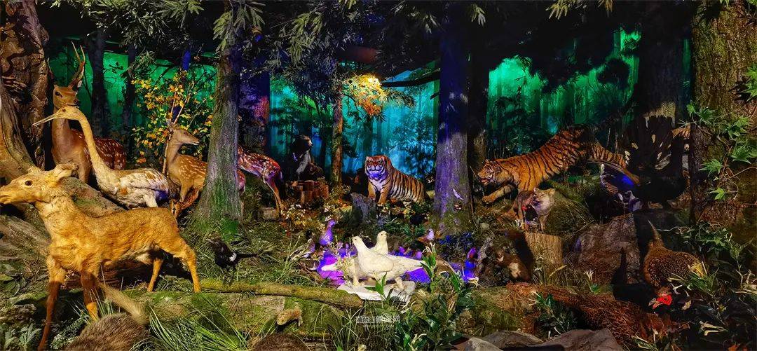 森林博物馆预约参观指南来啦→_参观者_哈尔滨_校园