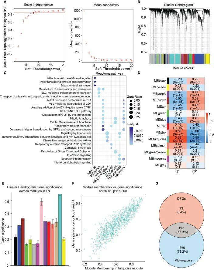 7 wgcna 机器学习 单细胞,机器学习仍然是主流_基因_粒细胞_分析