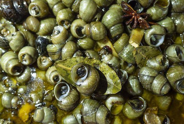 原创绝味嗦螺的秘制之旅香料底汤与螺肉的完美融合