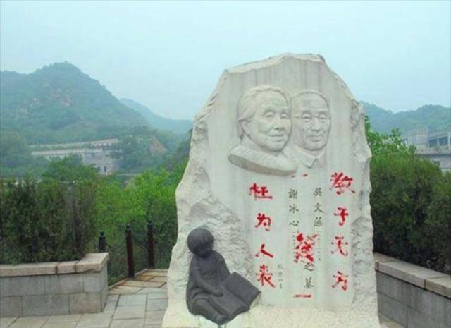 吴山:父亲劈腿,母亲被逼至抑郁,为报复在奶奶冰心墓碑上泼红漆_陈凌霞