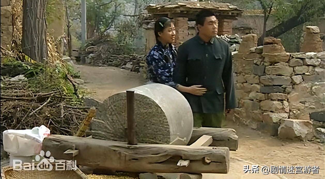 王茜华,孙涛,蒋宝英主演农村女性奋斗的热血故事_家庭_电视剧