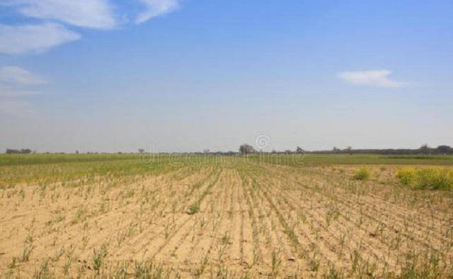 原创中印人口都非常多在粮食上却是一个买一个卖印度人吃得少么