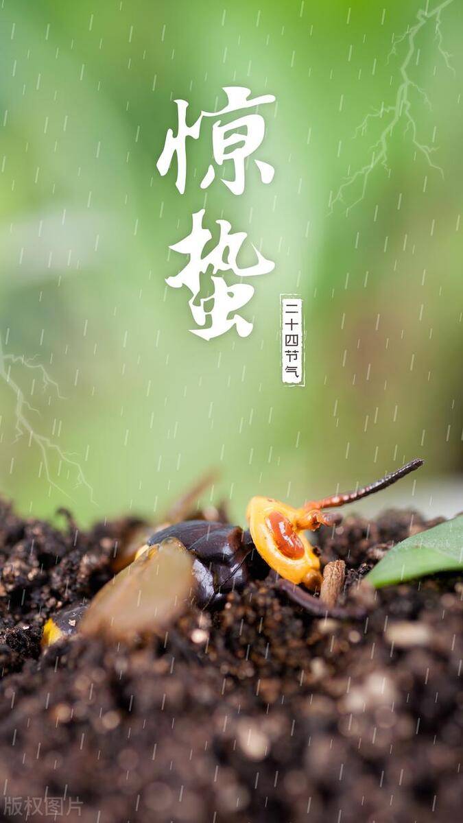 大地回春,天气变暖,万物开始复苏,春雷始鸣,惊醒蛰伏于地下越冬的蛰虫