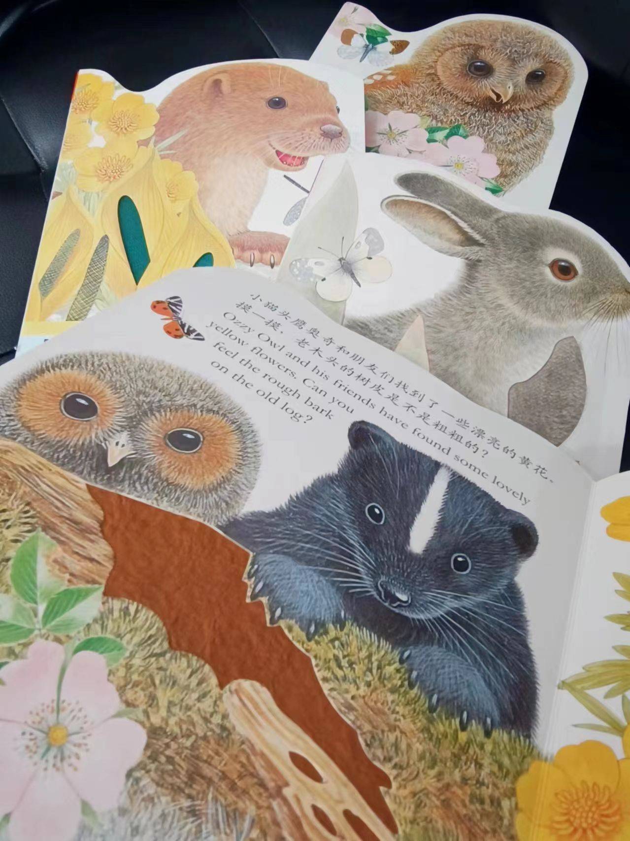 文字内容不多,有小问题有小互动有小科普,在阅读中,认识大自然中的