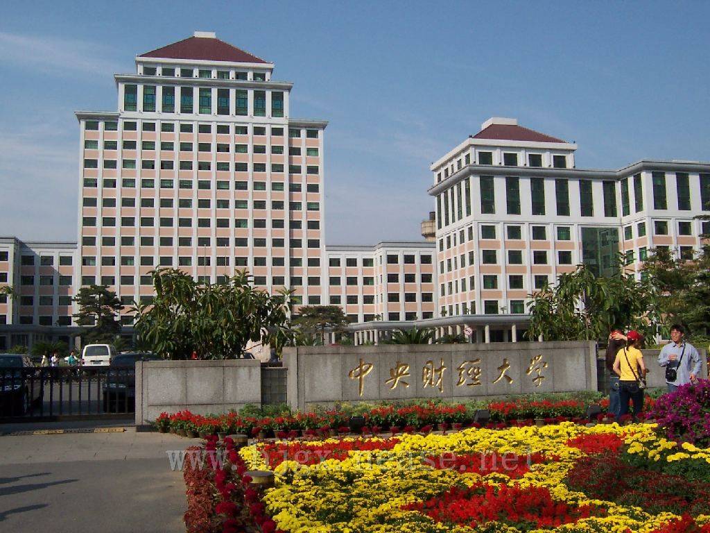 中央财经大学2024招生简章-成人高考_教育部_国家_考试