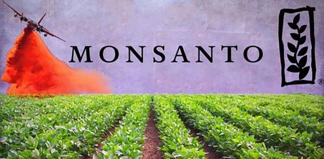 "邪恶龙头"孟山都,因何成了过街老鼠?_生产_公司_美国