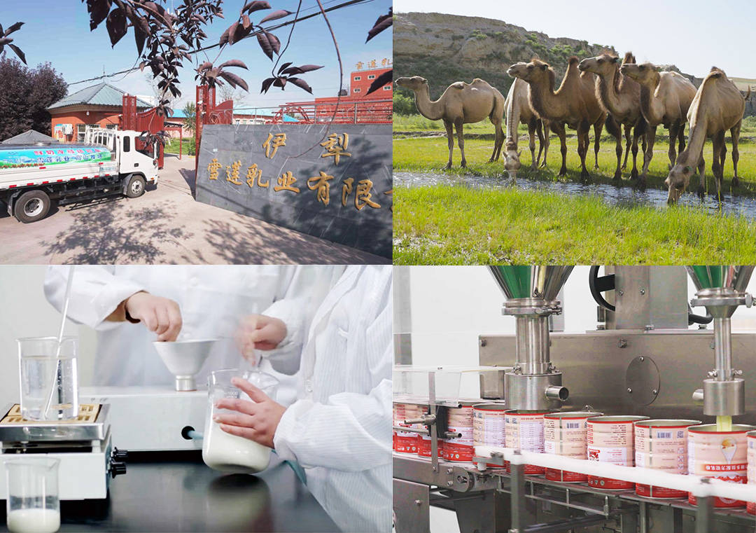 营养_产业链_配方