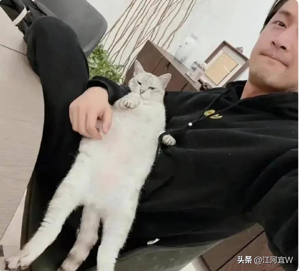 这才是胡歌的真实感情线,黄曦宁薛佳凝江疏影刘亦菲王晓晨唐嫣_恋情