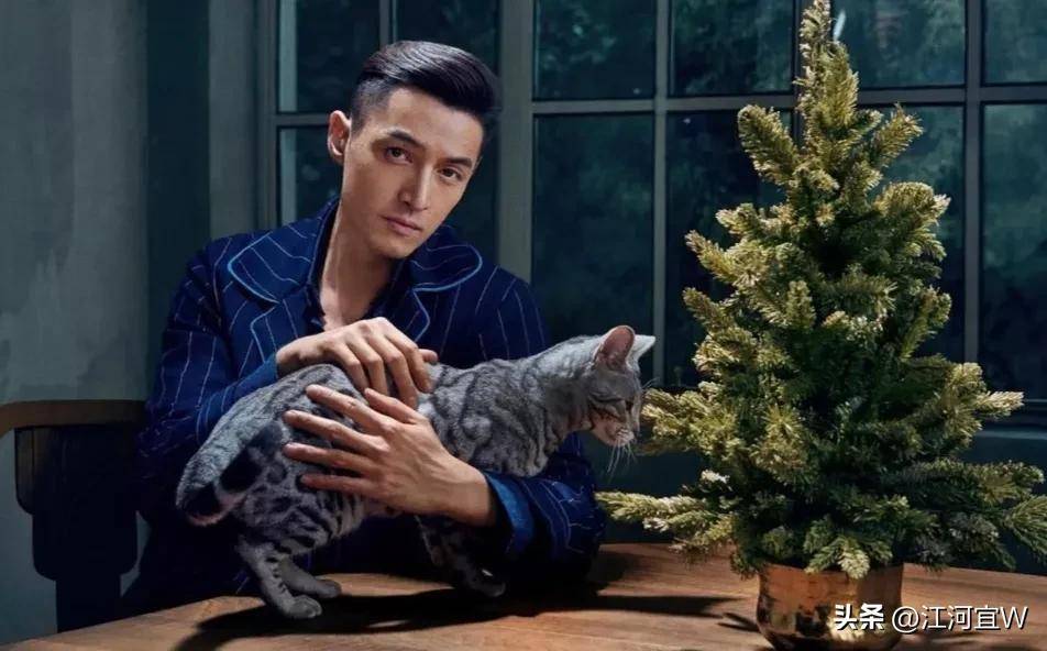 原创这才是胡歌的真实感情线黄曦宁薛佳凝江疏影刘亦菲王晓晨唐嫣