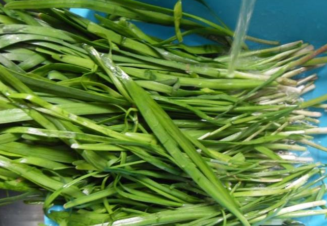 韭菜_功效_香干