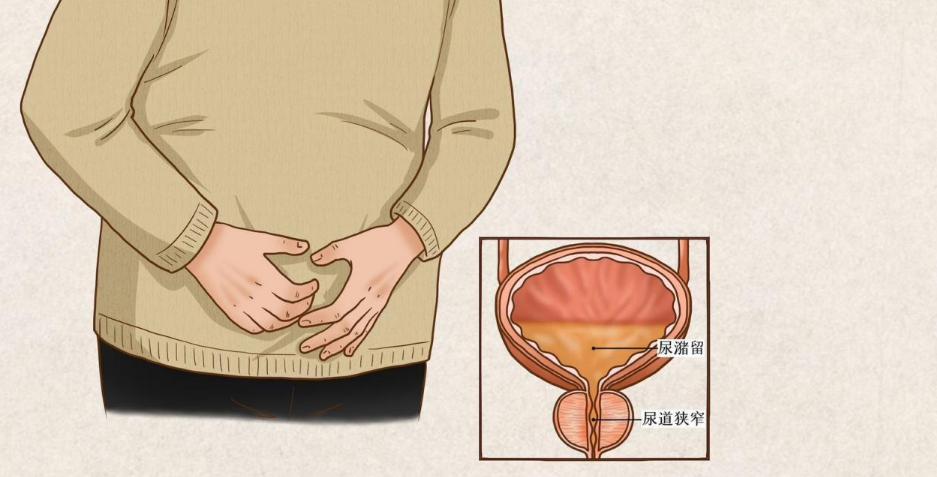 来自搜狐网