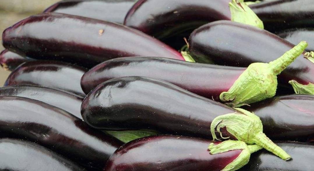 茄子的营养价值主要在它的皮里.茄子的皮同时含有维生素c和维生素b.