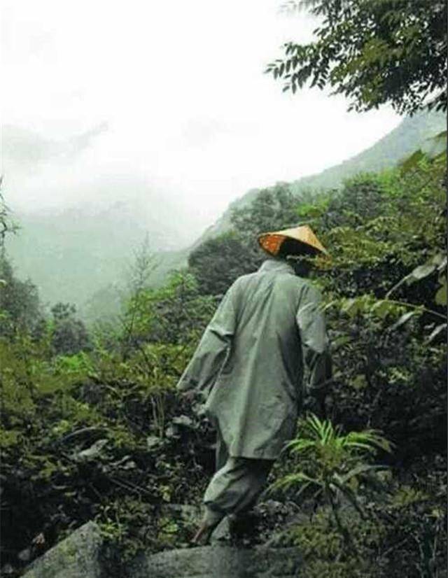 但他们真正是以星空作伴,与君竹相依的修行者,他们的心灵,如明镜般