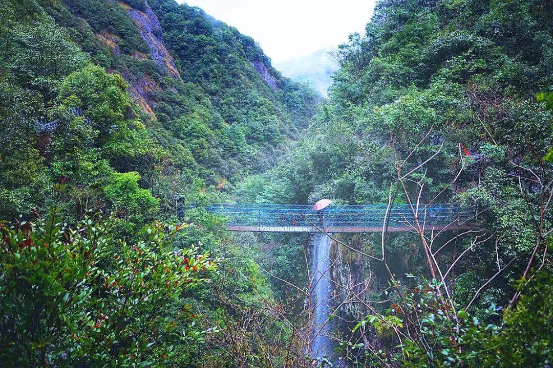 衢州药王山滑梯图片