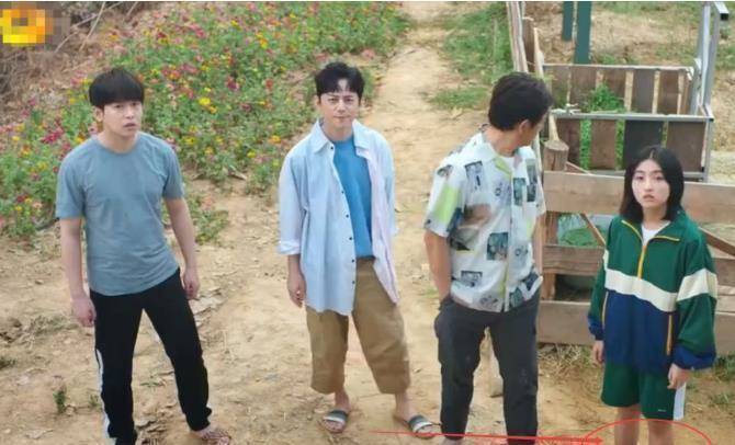 男女差别明显_节目_何炅_穿着