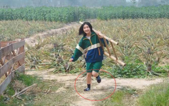 原创向往的生活都穿拖鞋去田地谁注意张子枫的穿法男女差别明显