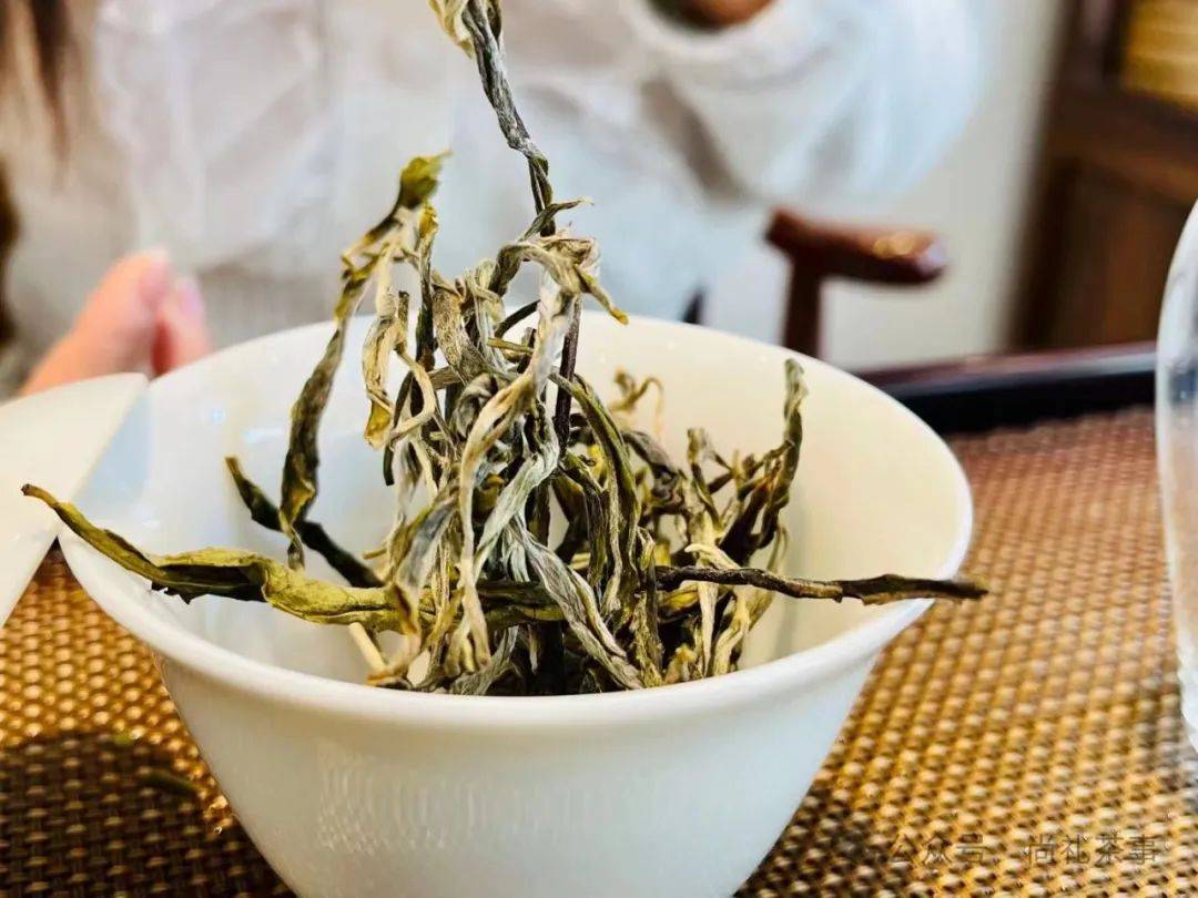 茶叶_茶树_氨基酸