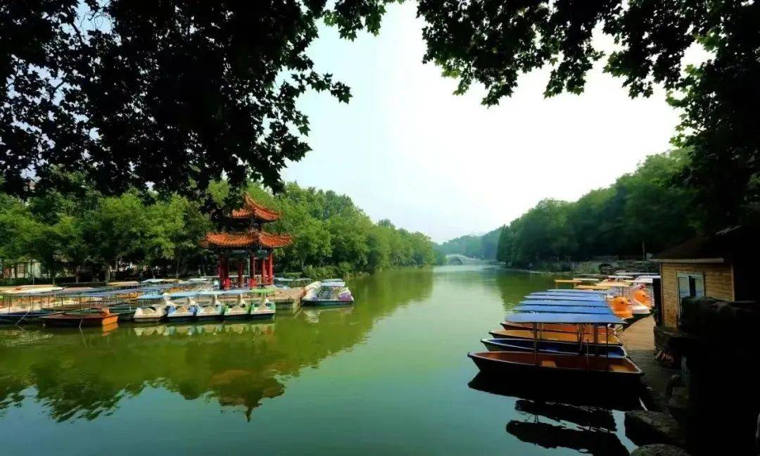 遇见济宁丨在公园等你共赴一场春意